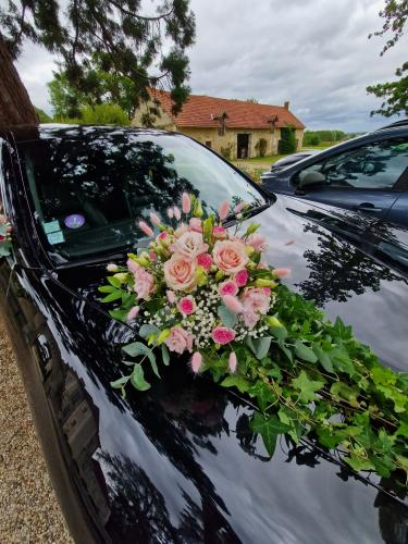 Décoration véhicule